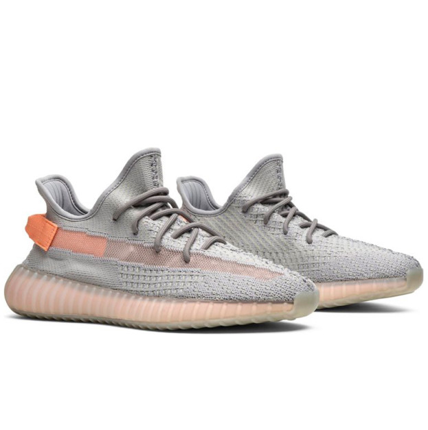 Кроссовки Adidas Yeezy Boost 350 V2 True Form EG7492