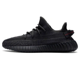 Yeezy 350