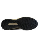 Adidas Terrex Low Gore-Tex Black Beige