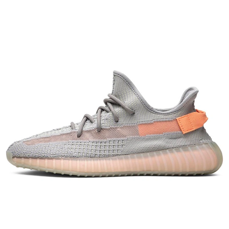 Кросівки Adidas Yeezy Boost 350 V2 True Form EG7492 купити