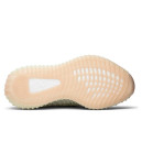 Кросівки Adidas Yeezy Boost 350 V2 Antlia Reflective FV3255